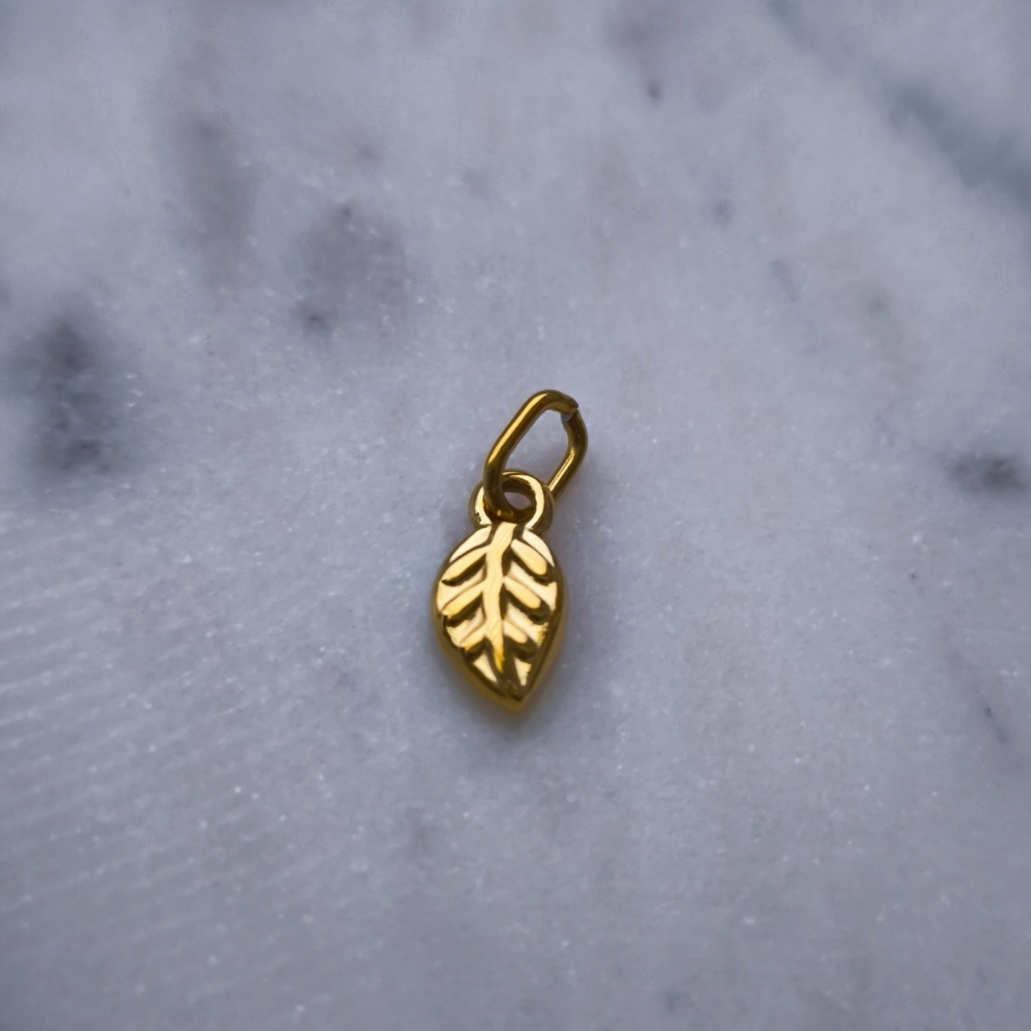 Charm Mini Hoja