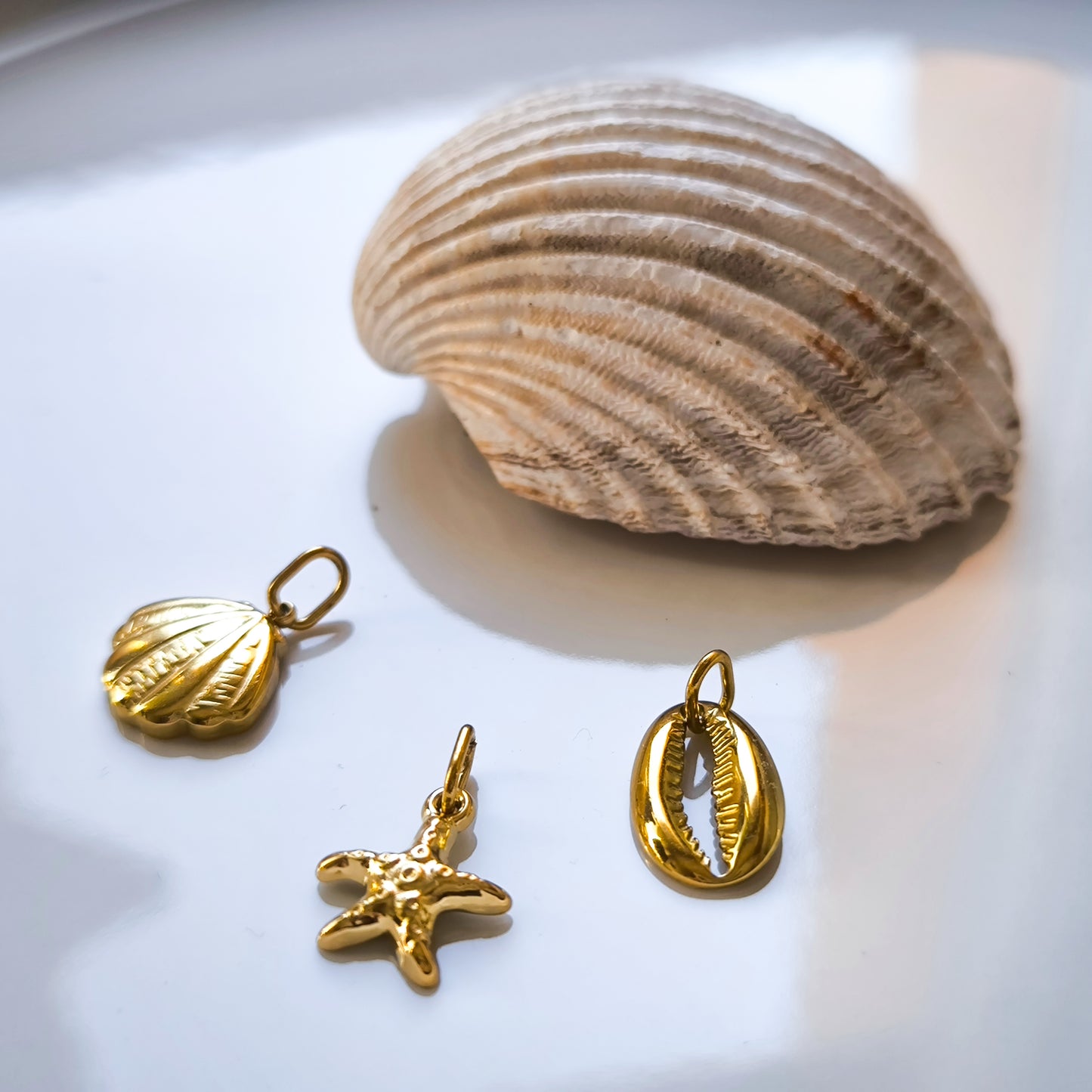 Charm Estrella Marina