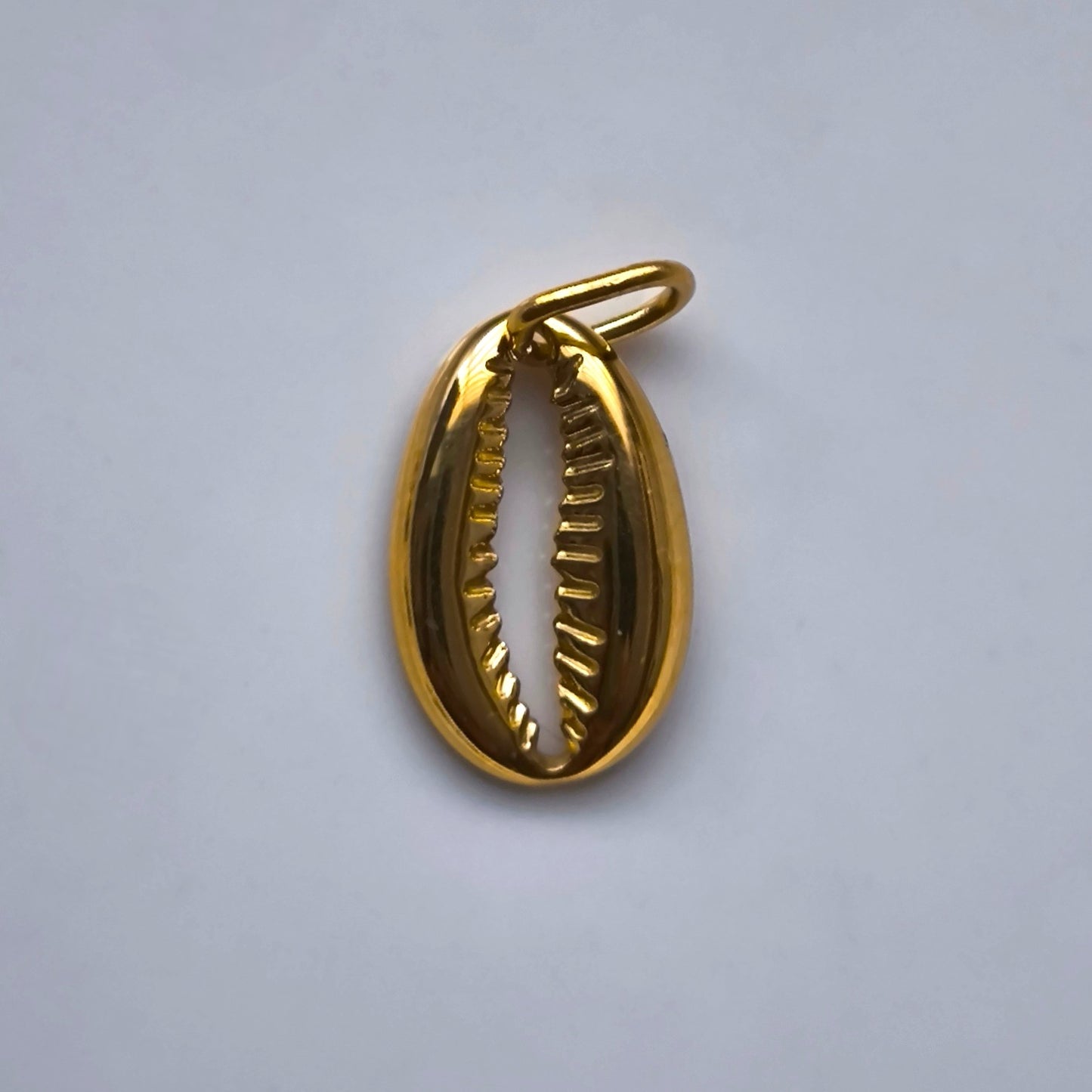 Charm Concha