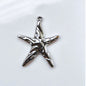 Charm Estrella de Mar- Plata