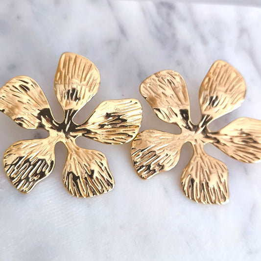 ARETES LEIA