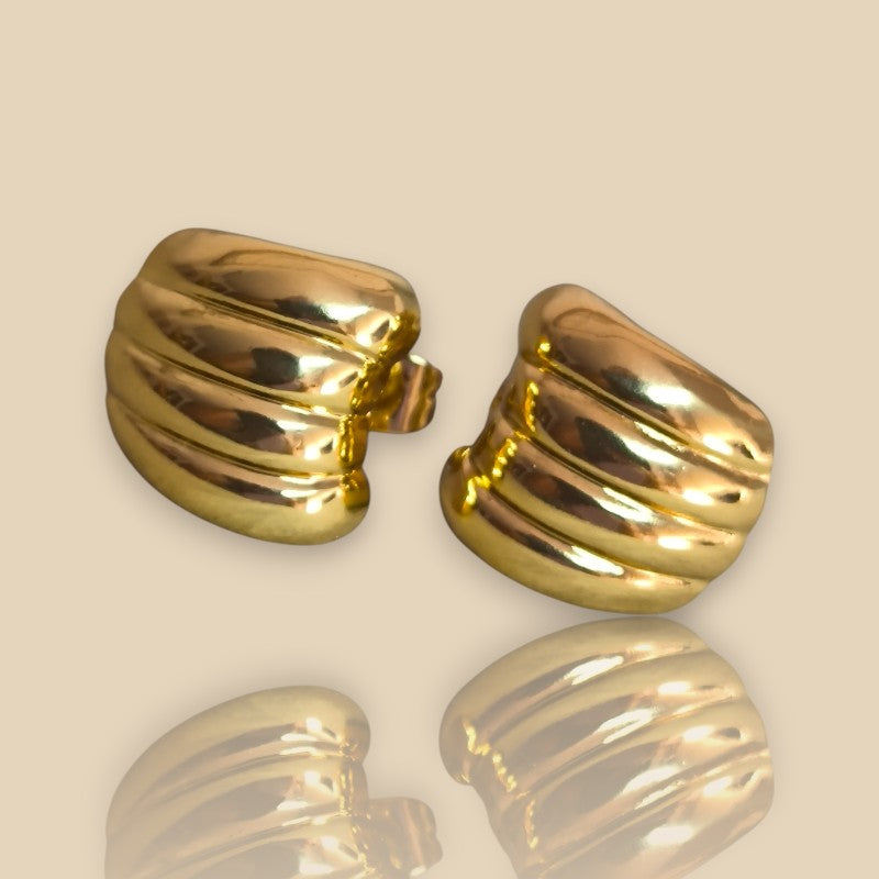 ARETES ROSA DE FRUTA