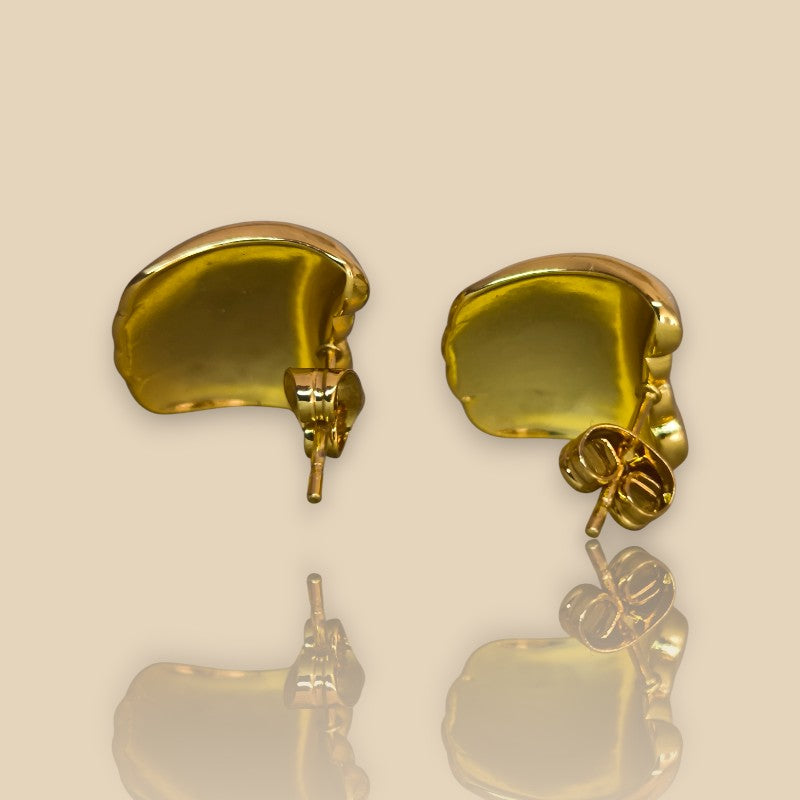 ARETES ROSA DE FRUTA