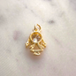Charm Niños