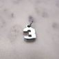 Charm número Plata