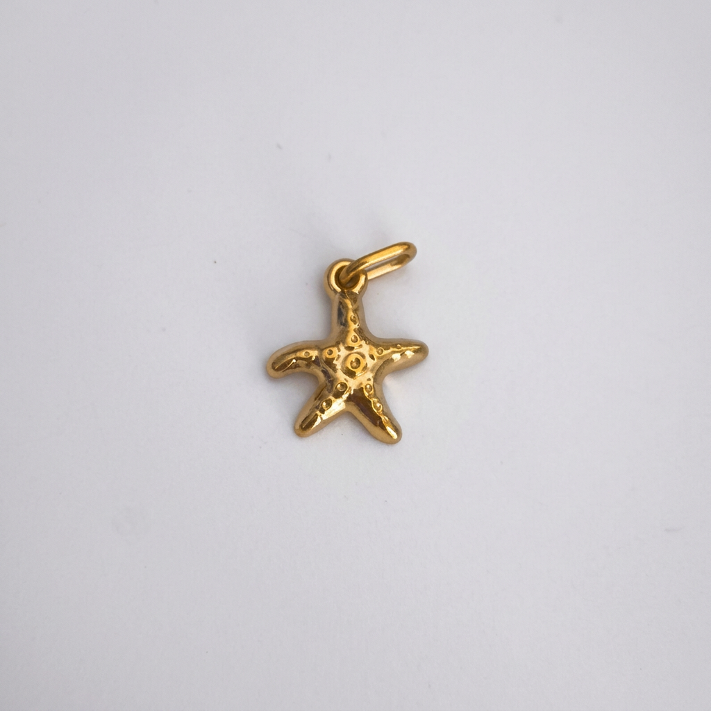 Charm Estrella Marina