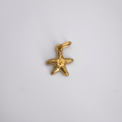 Charm Estrella Marina